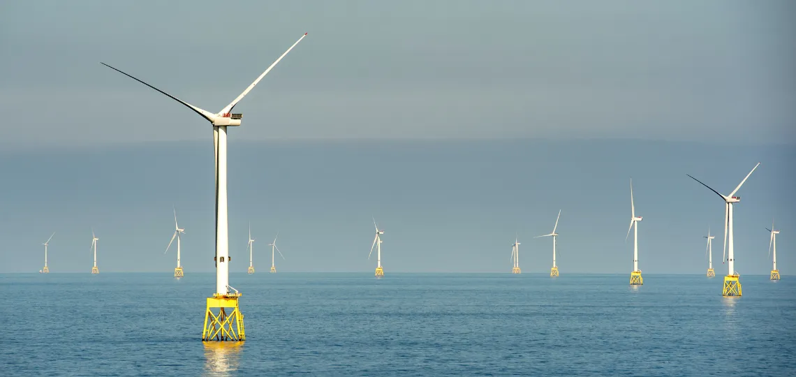 All candidates withdraw from offshore wind project near Oléron Island