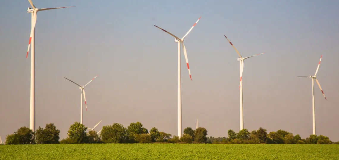 376 wind projects secure 3.45 GW in Germany’s 1 August tender