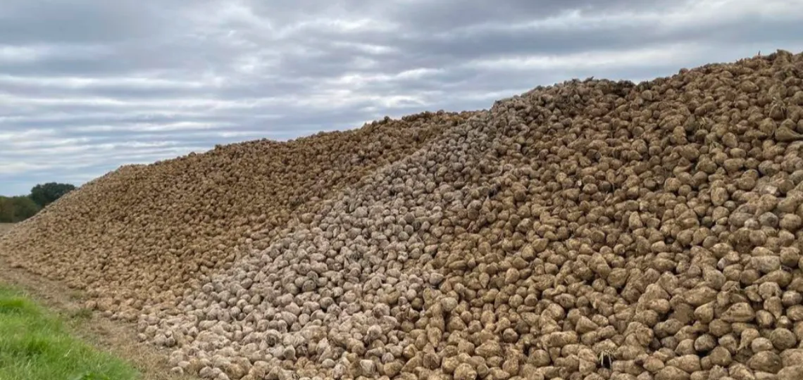 La filière des biocarburants rejette une hausse fiscale jugée brutale