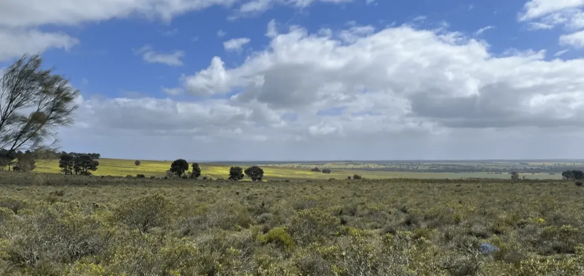 Le projet éolien Waddi obtient l’approbation environnementale du gouvernement australien