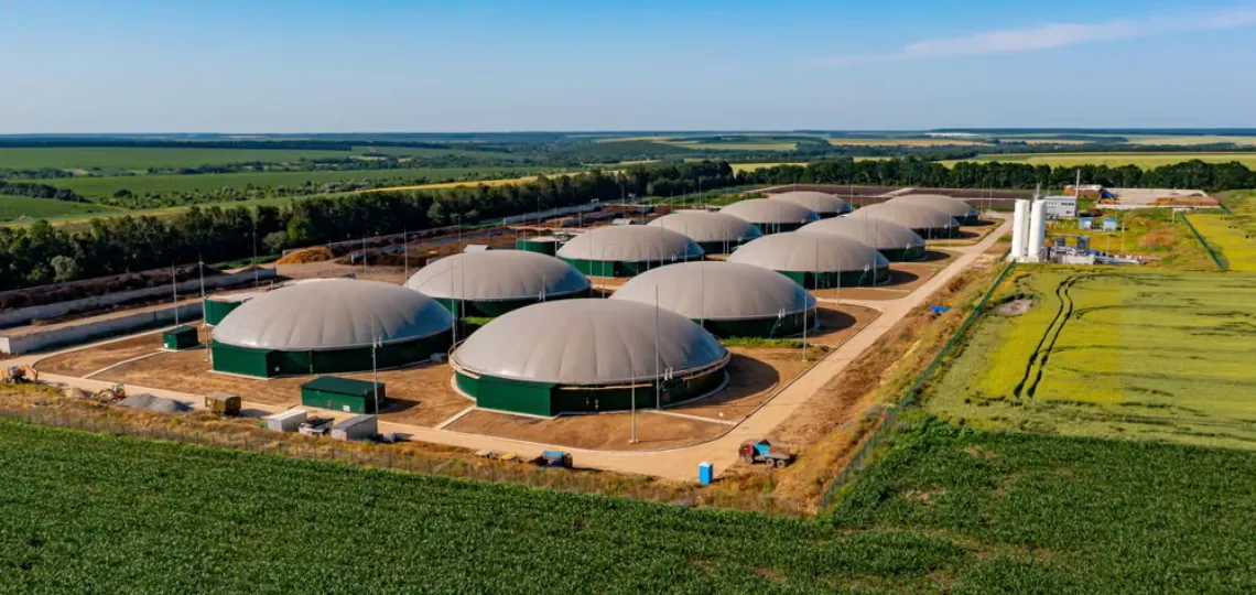 US biofuels production capacity growth slows sharply in 2024