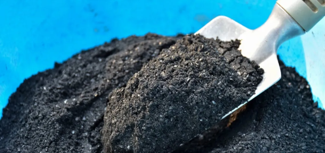 Indian investors bet on Biochar under regulated offtake agreements