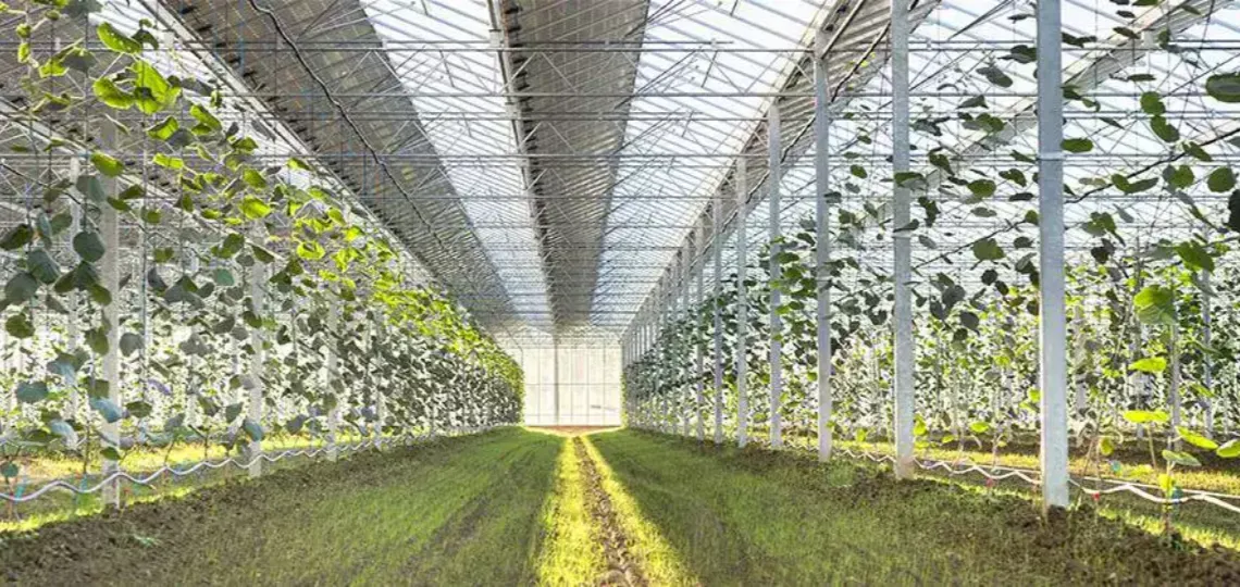 France: REDEN commissions a 3-hectare agrivoltaic greenhouse in Ariège