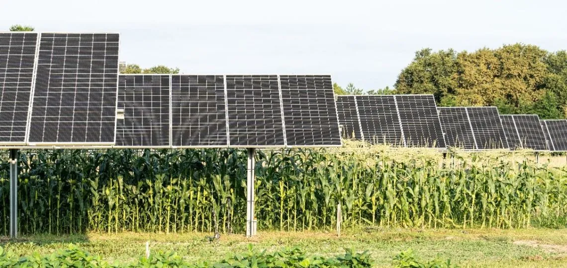 A €15mn solar farm and organic dairy project launched in Loiret