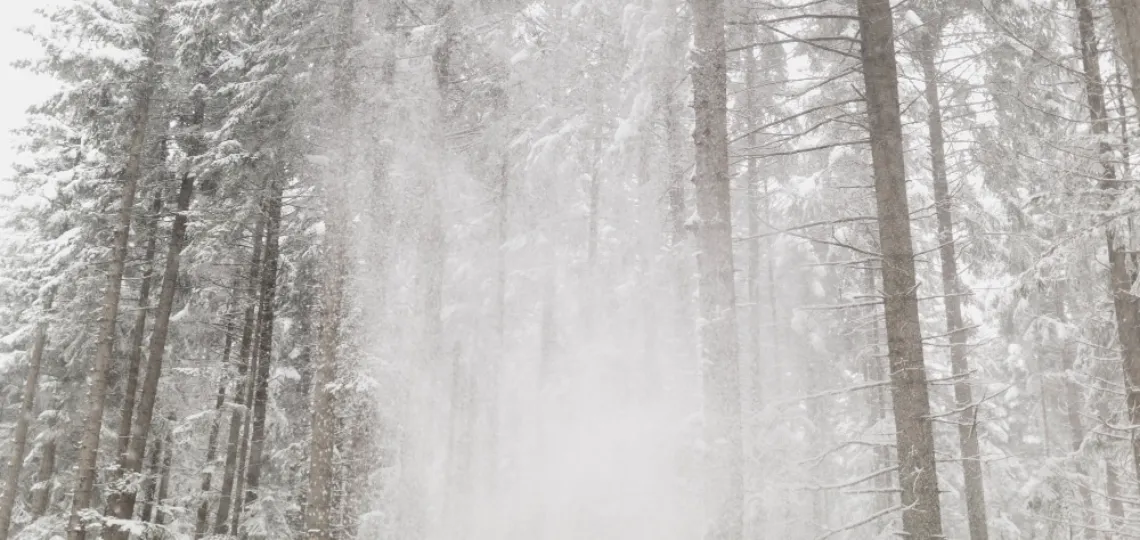 United States: winter cold drives up natural gas price forecasts