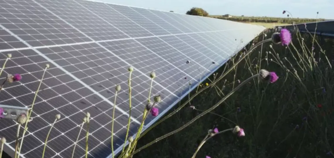 European Energy wins two CRE tenders for its agrivoltaic projects in Saint-Voir