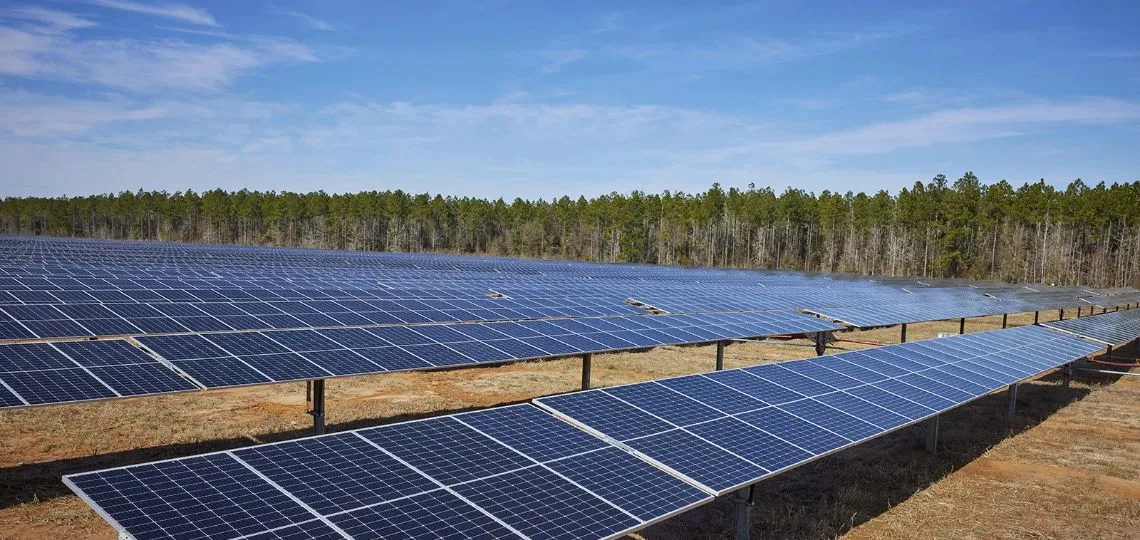 Greenbuddies deploys Germany’s largest agrivoltaic power plant for MaxSolar