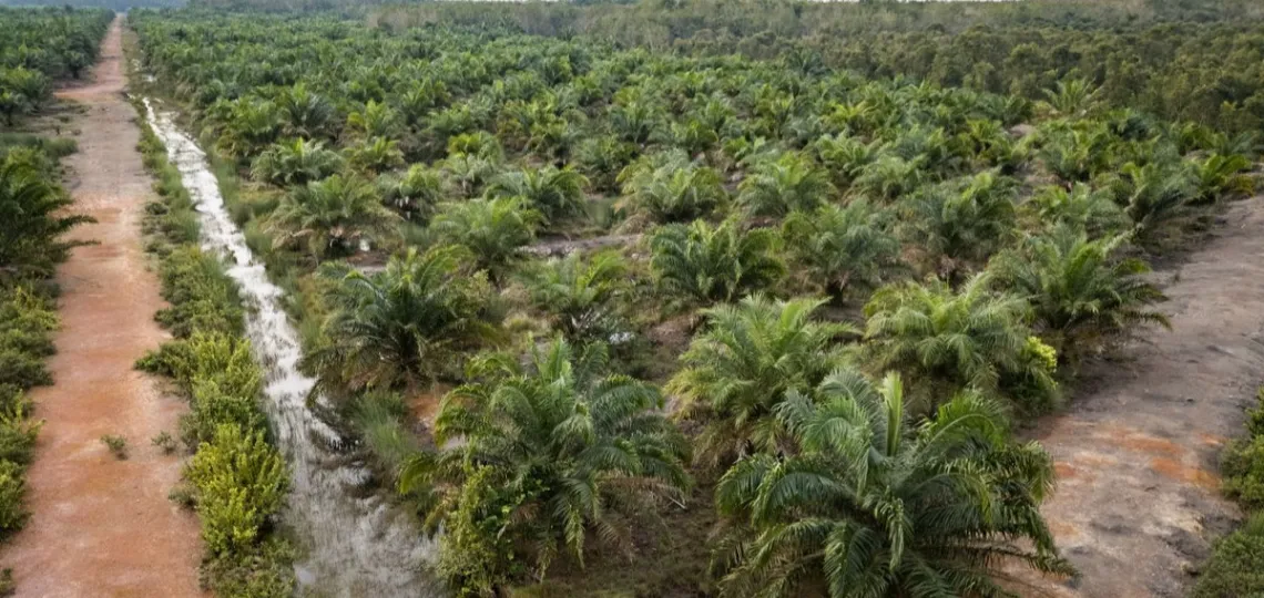 L’Indonésie abandonne le biodiesel B50 et relève ses taxes à l’exportation d’huile de palme